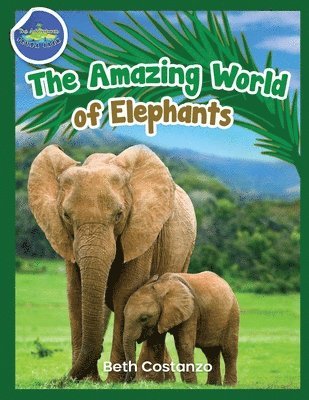 bokomslag Elephants Activity Workbook for Kids ages 4-8!