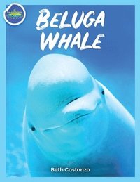 bokomslag Beluga Whale Activity Workbook For Kids!