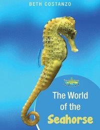 bokomslag Seahorse Activity Workbook For Kids ages 4-8