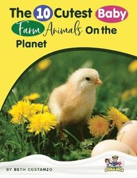 bokomslag Baby Farm Animals Booklet With Activities for Kids ages 4-8