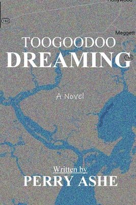 bokomslag Toogoodoo Dreaming