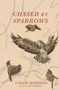 bokomslag Chased By Sparrows