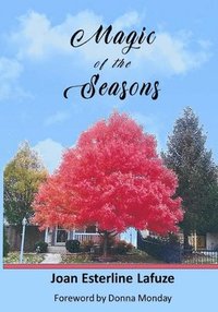bokomslag Magic of the Seasons