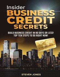 bokomslag Insider Business Credit Secrets