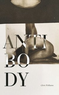 bokomslag Antibody