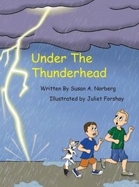 bokomslag Under the Thunderhead