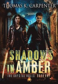 bokomslag Shadows in Amber
