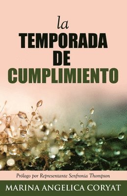 bokomslag Temporada De Cumplimiento