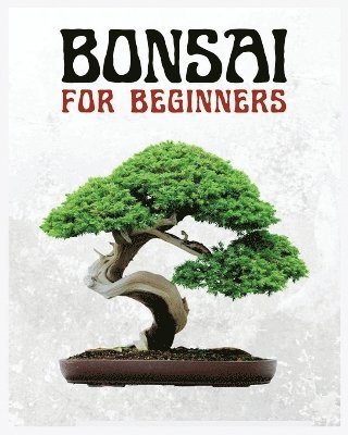 Bonsai for Beginners 1