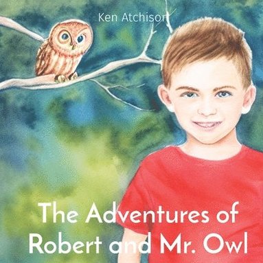 bokomslag Adventures of Robert and Mr. Owl