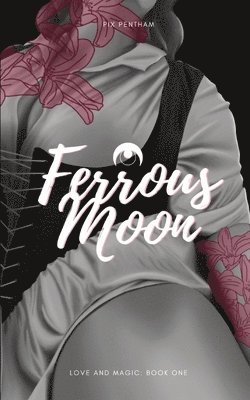 Pix Pentham - Ferrous Moon, Häftad