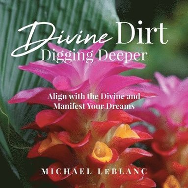 Michael LeBlanc - Divine Dirt, Häftad