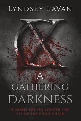 bokomslag A Gathering Darkness