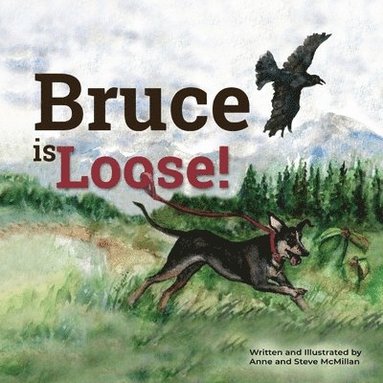 bokomslag Bruce is Loose!