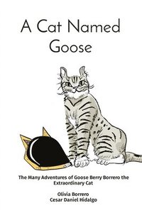 bokomslag Cat Named Goose