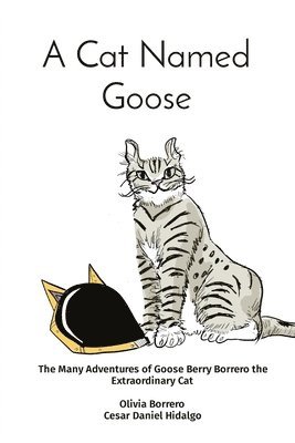 bokomslag Cat Named Goose