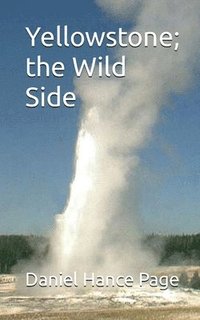 bokomslag Yellowstone; the Wild Side
