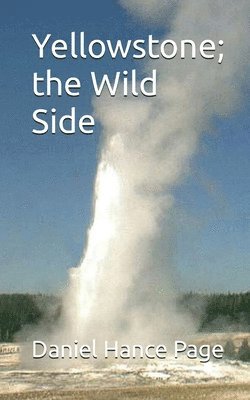 Yellowstone; the Wild Side 1