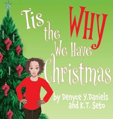 bokomslag Tis the Why We Have Christmas