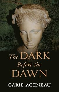 bokomslag The Dark Before the Dawn
