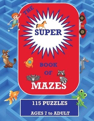 bokomslag The Super Book of Mazes