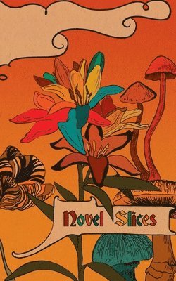 Novel Slices Issue 3 1