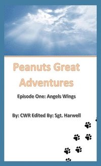 bokomslag Peanut's Great Adventures