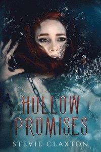 bokomslag Hollow Promises