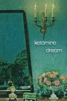 Ashley Poetry - Ketamine Dream, Häftad