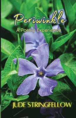 bokomslag Periwinkle