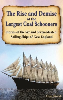 bokomslag Rise and Demise of the Largest Sailing Ships