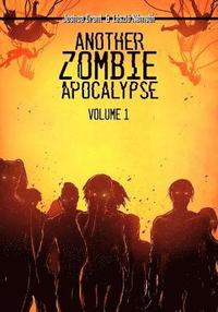 bokomslag Another Zombie Apocalypse