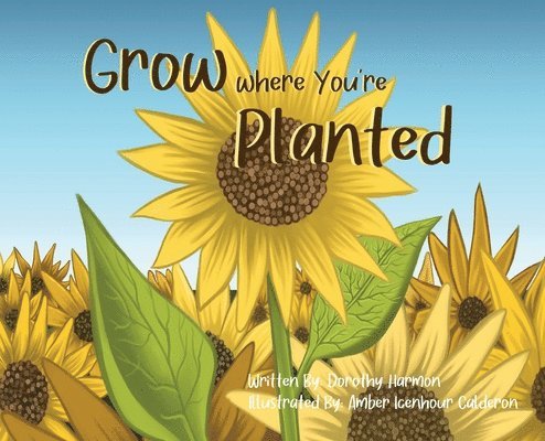 Grow Where You're Planted 1