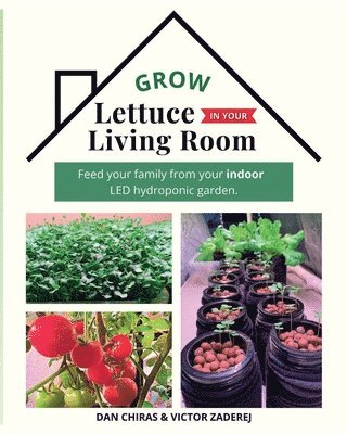 Grow Lettuce in Your Living Room 1