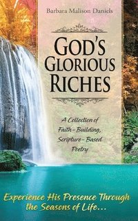 bokomslag God's Glorious Riches
