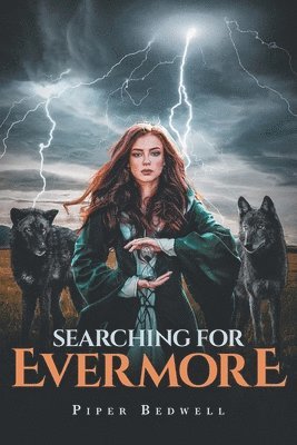 Searching for Evermore 1