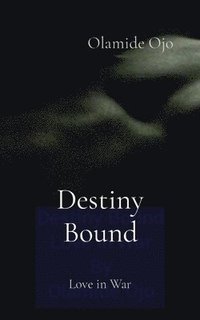 bokomslag Destiny Bound