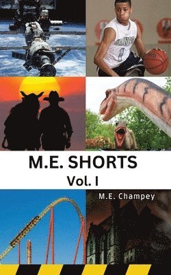 bokomslag m.e. shorts