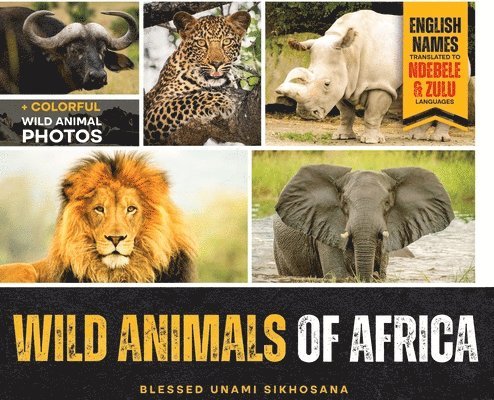 Wild Animals of Africa 1