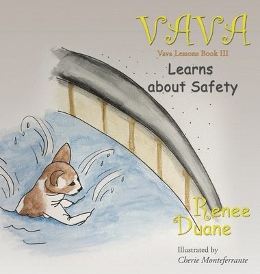 Vava Learns About Safety 1