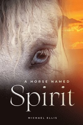 A Horse Named Spirit 1