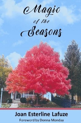 bokomslag Magic of the Seasons