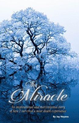 The Miracle 1