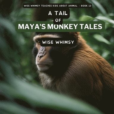 bokomslag A Tail of Maya's Monkey Tales