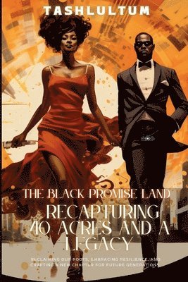 bokomslag The Black Promise Land