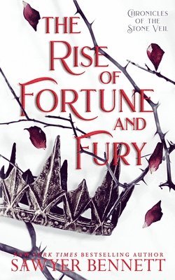 bokomslag Rise of Fortune and Fury