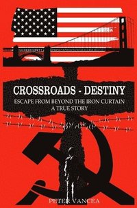 bokomslag Crossroads - Destiny