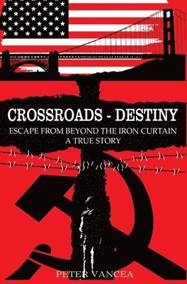 bokomslag Crossroads - Destiny