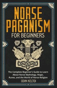 bokomslag Norse Paganism for Beginners