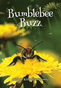 bokomslag BumbleBeeBuzz